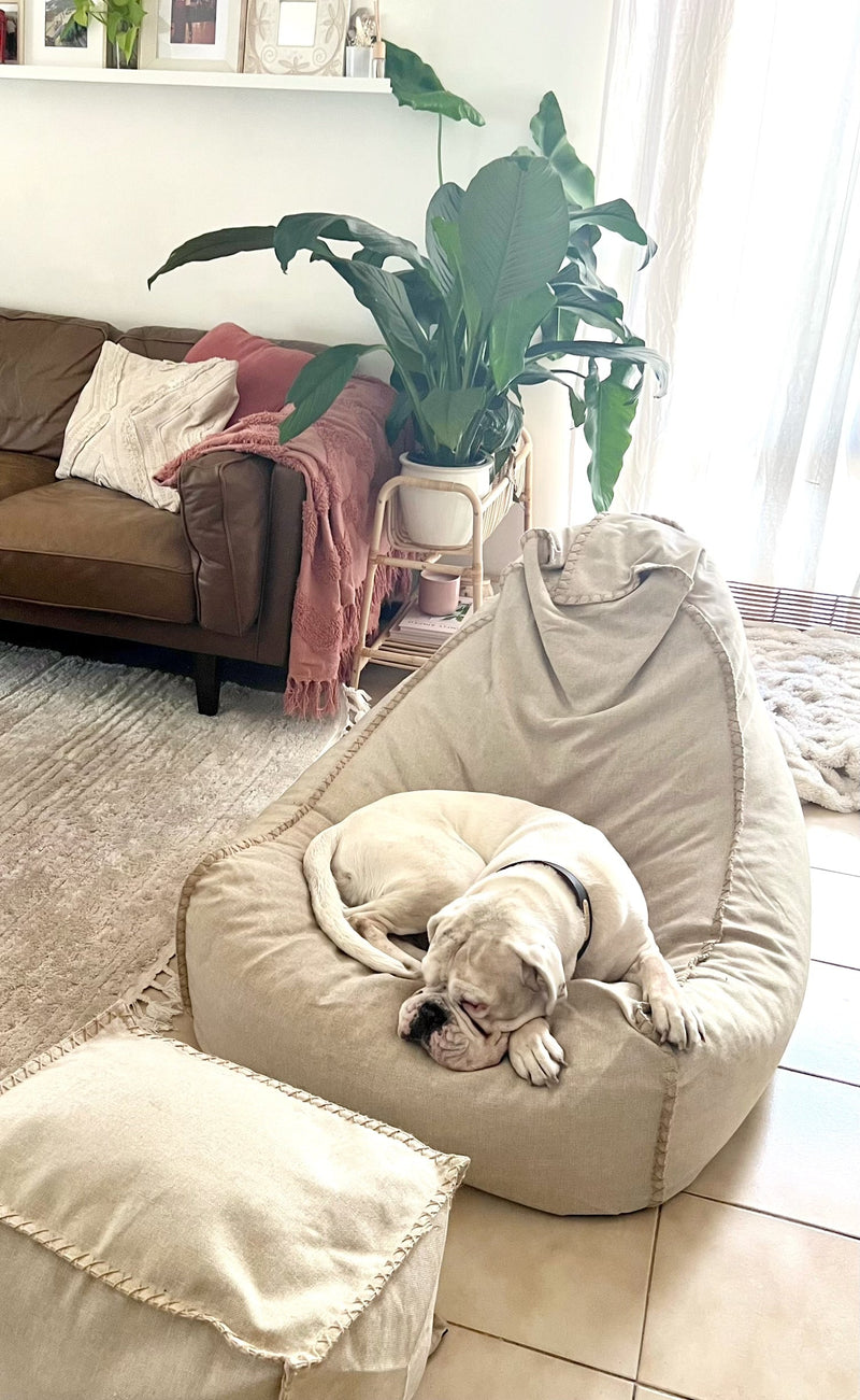 a dog making himself at home on an Ivory & Deene linen beanbag
